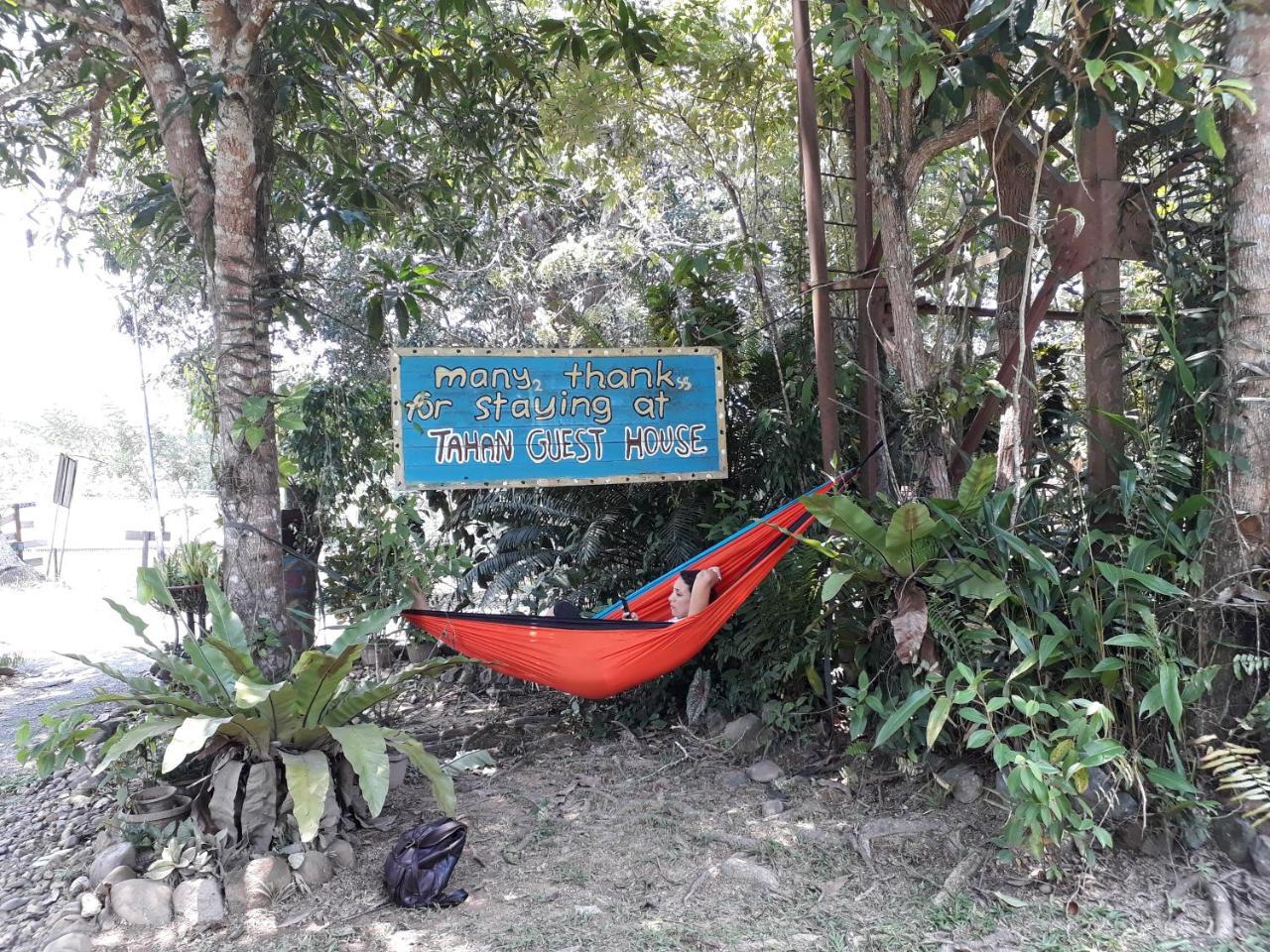 Tahan Guest House Kuala Tahan Exterior photo